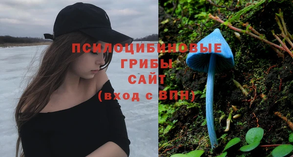 марки nbome Алексеевка