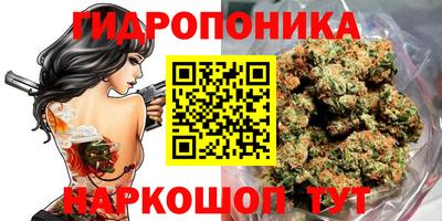 Альфа ПВП Можайск