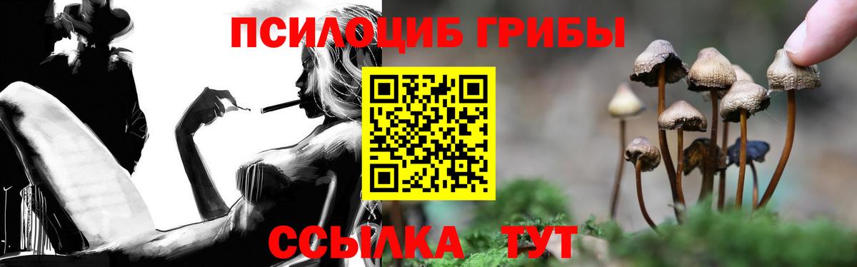 Крымск  Галлюциногенные грибы MAGIC MUSHROOMS  Псилоцибиновые грибы MAGIC MUSHROOMS  Вход с VPN 