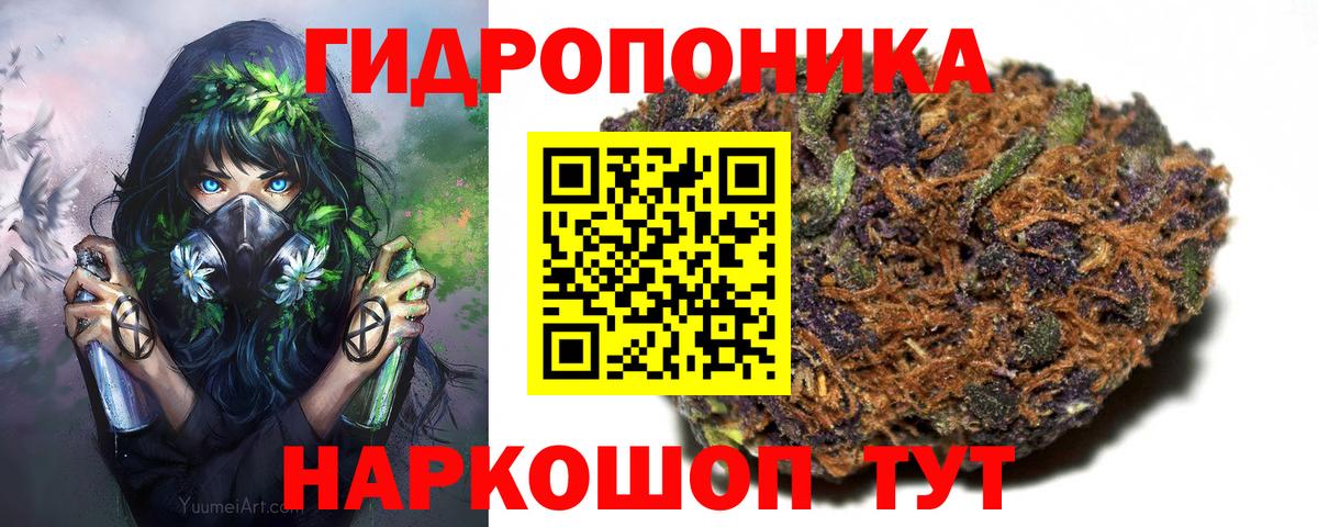 Конопля OG Kush Крымск